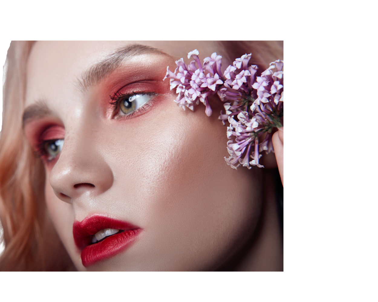 Celestial Veil Eyeshadows