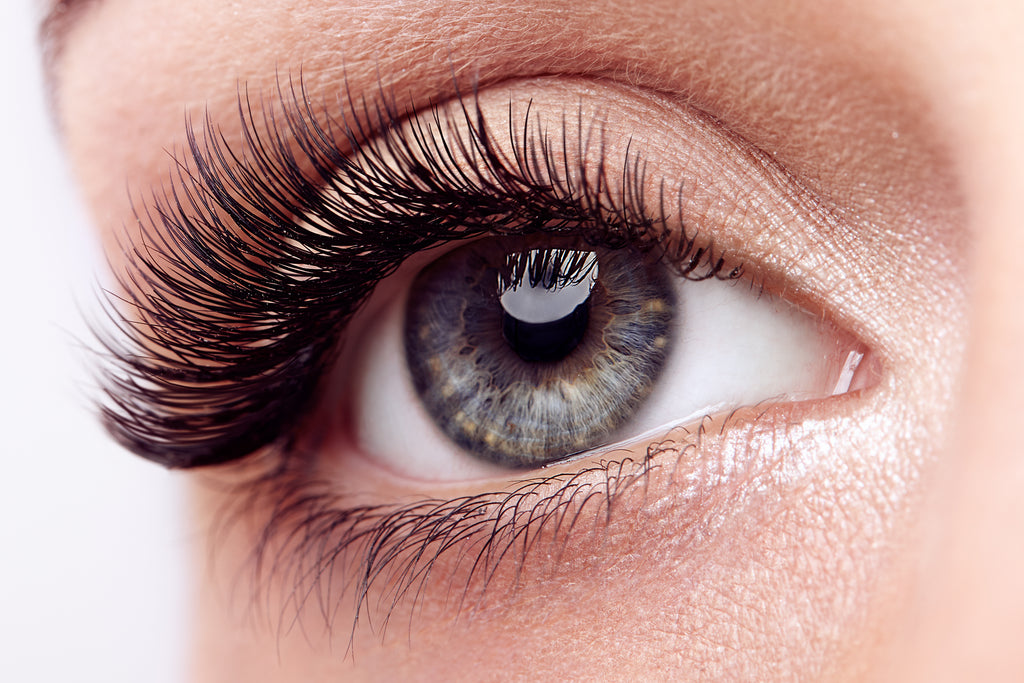 Eyelash Serum