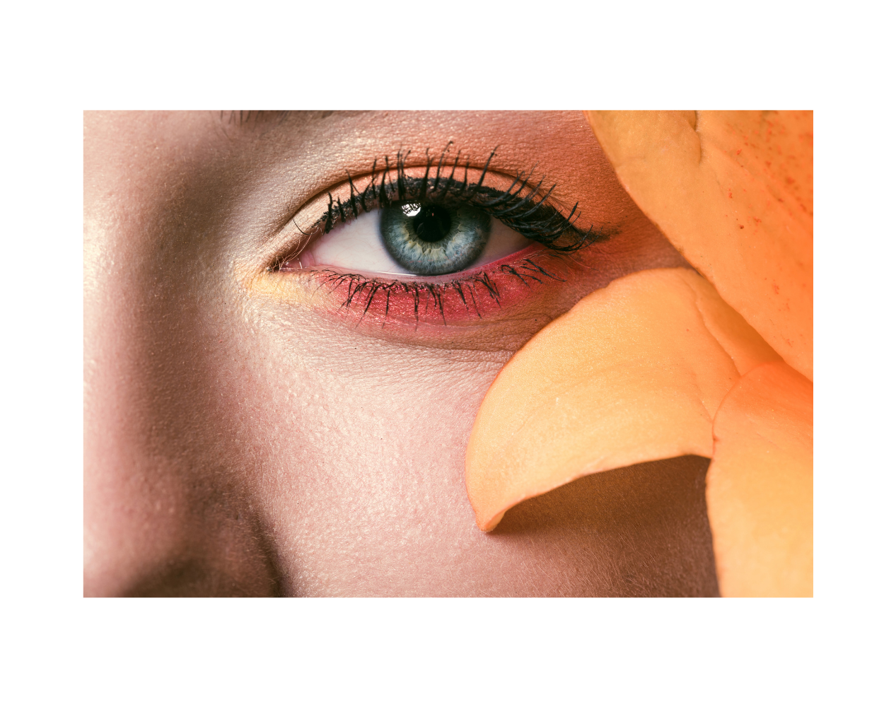 Spaced Eyeshadows